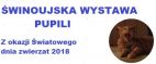 Właśnie teraz! Pokaż wszystkim swojego...