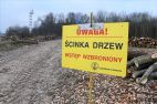 Urząd Morski kończy prace w pobliżu falochronu