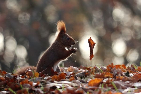 Wernisaż wystawy zdjęć Agaty Ciechowskiej