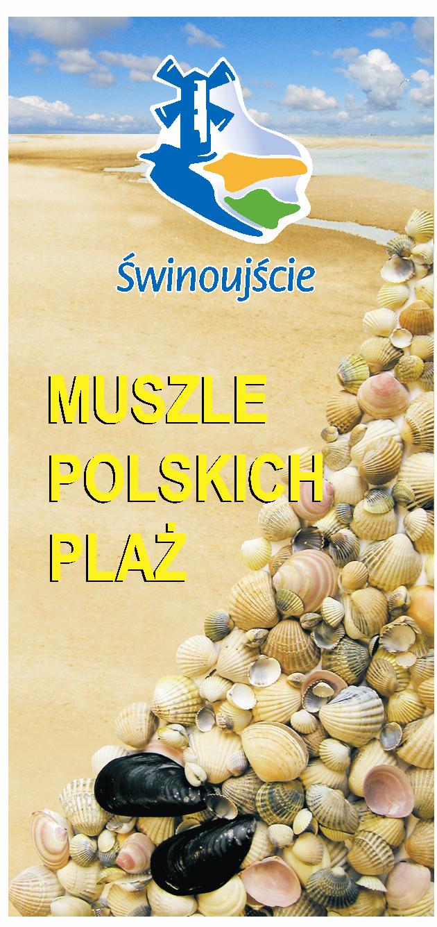 Muszle polskich plaż 