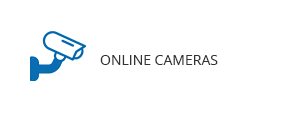 Online cameras